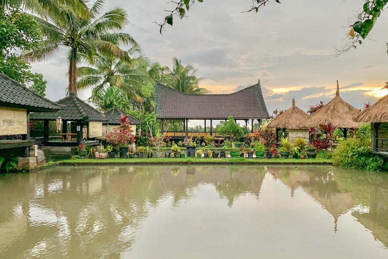 Lesehan Cahaya Tetebatu Inn Syariah At Desa Wisata 외부 사진