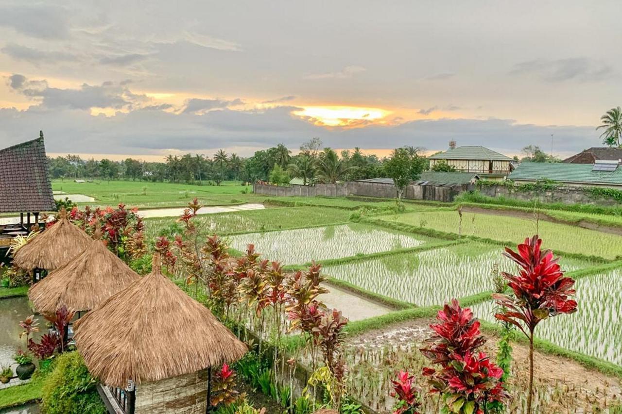 Lesehan Cahaya Tetebatu Inn Syariah At Desa Wisata 외부 사진