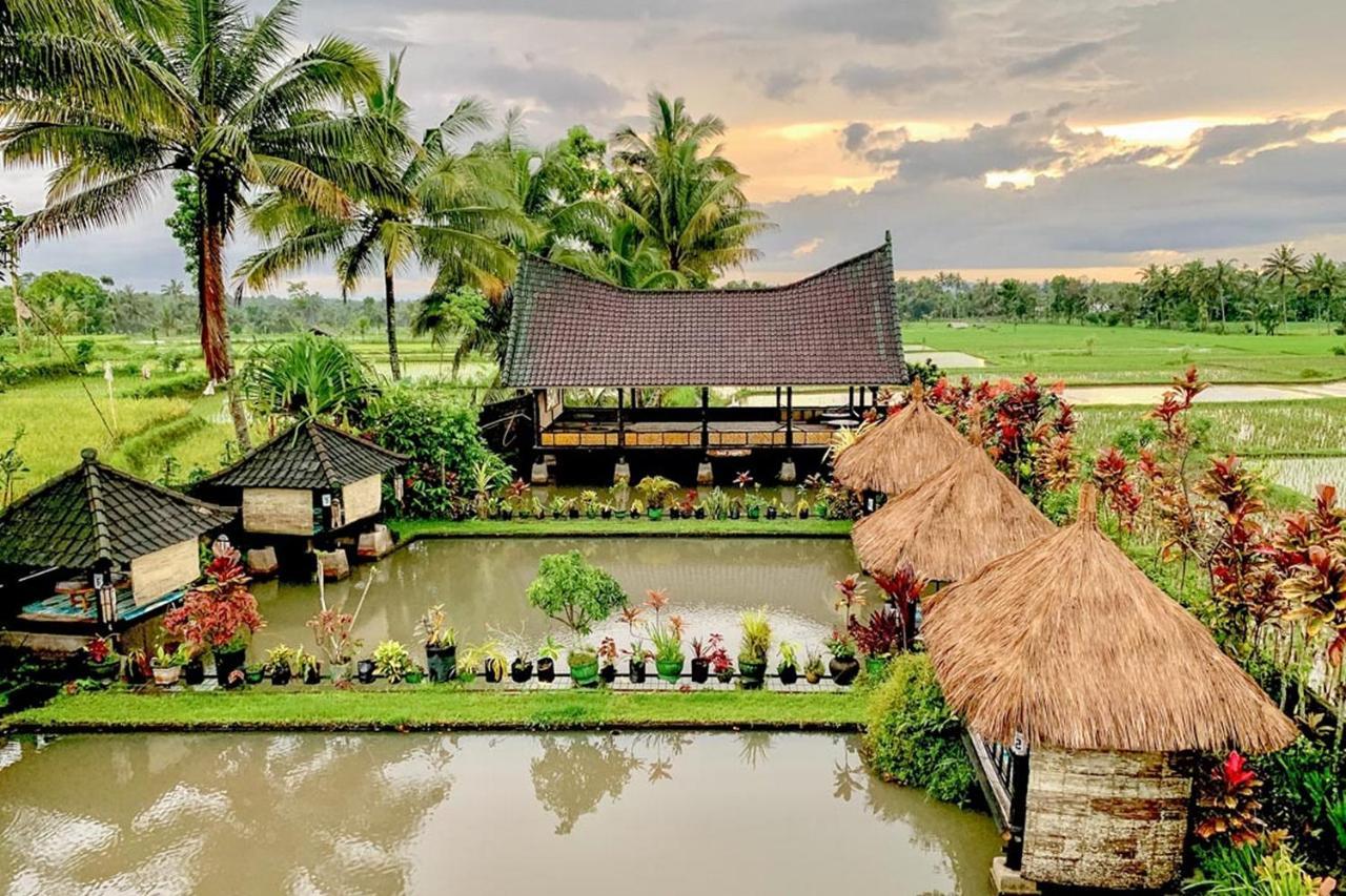 Lesehan Cahaya Tetebatu Inn Syariah At Desa Wisata 외부 사진