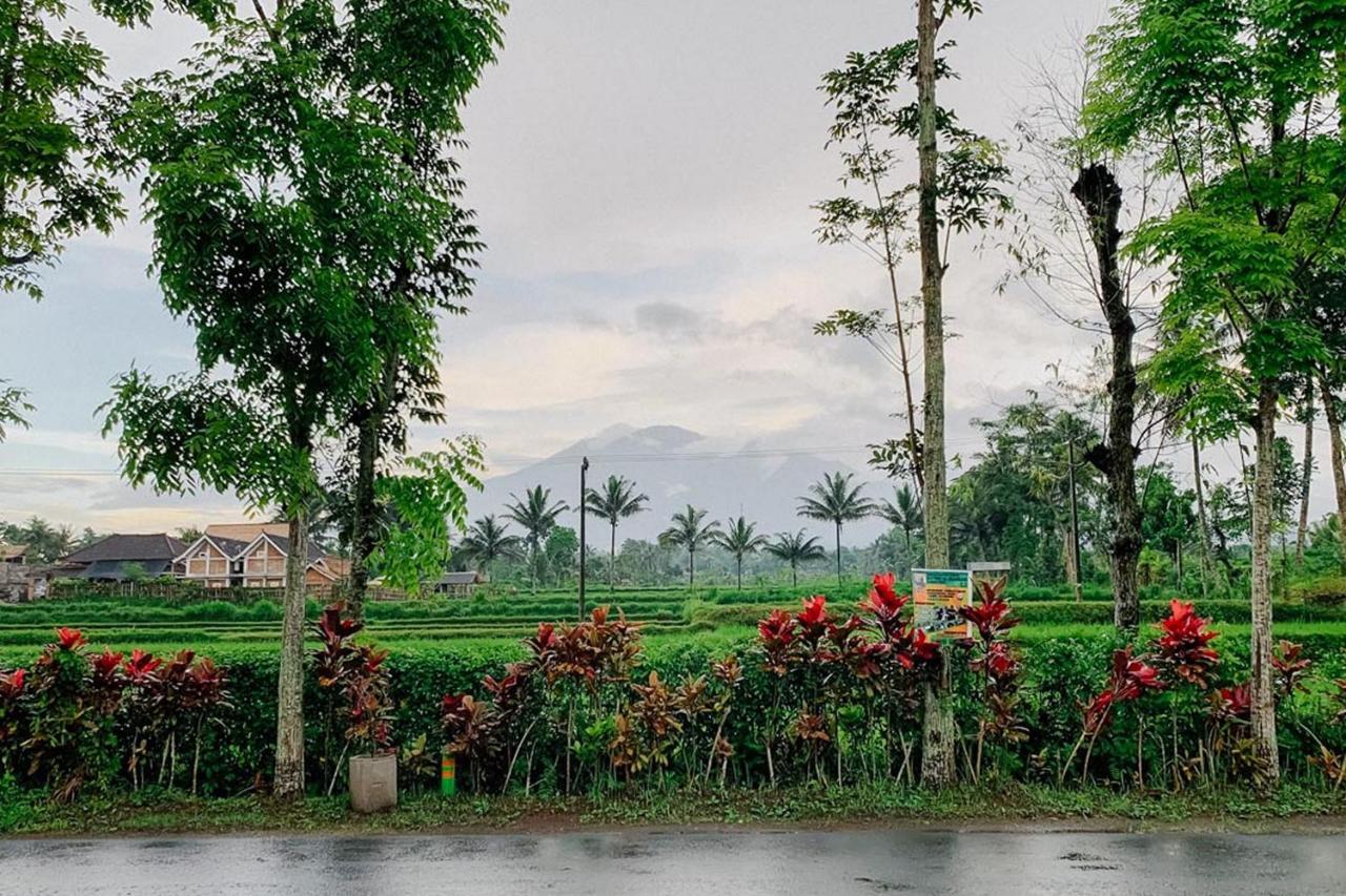 Lesehan Cahaya Tetebatu Inn Syariah At Desa Wisata 외부 사진